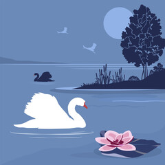 Natural landscape with lake, water lily and swan birds silhouettes. Vector illustration