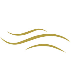 Calligraphic design elements vintage ornaments swirls and scrolls decorations vector