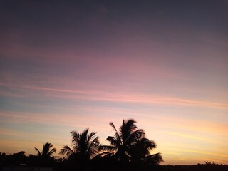 sunrise over coconut trees