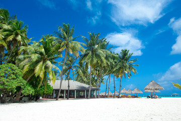 Obraz premium tropical Maldives island with white sandy beach and sea. palm