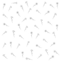 Line illustrations of flowers in black and white style, floral pattern, single line illustration, line drawing, modern single line art, line drawing, one line drawing 