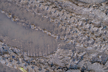 close up of tire tracks on the sand on the coast