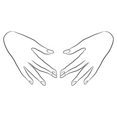 Two beautiful female hands with long nails in elegant gesture. Cartoon style. Black and white linear silhouette.