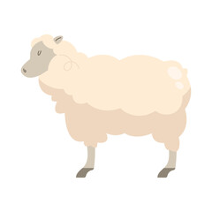 Cute cartoon lamb standing