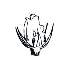 Black and white sketch of a rose bud with transparent background