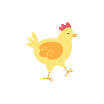 Cute chicken standing