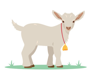 White kid or goatling with gold bell. Domestic Farm animal on green grass isolated on white background. Education nature Vector flat or cartoon illustration.