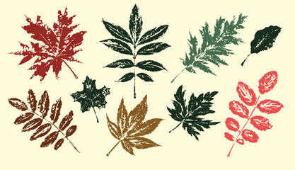 Tropical leaves collection. Textured ink brush drawing. Vector illustration