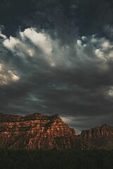 Vertical view of a beautiful forest near the mountains in Utah, USA