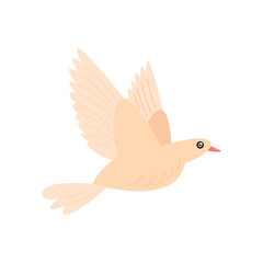 Cute flying dove design