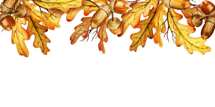 watercolor horizontal border with autumn oak leaves and acorns, hand drawn illustration of yellow and orange trees leaf, white background