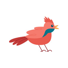 red pigeon cute design