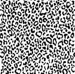 Leopard print pattern on transparent background