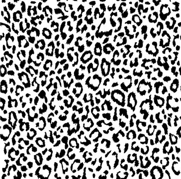 Leopard print pattern on transparent background
