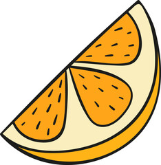 vector orange fruit. Oranges that are segmented on a ehite background