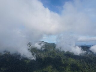 Aerial shot of rainforests on a mountain under the clouds and blue sky