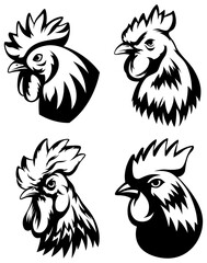 Head of rooster set. Cock abstract character illustration. Graphic logo designs template for emblem. Image of portrait for company use.