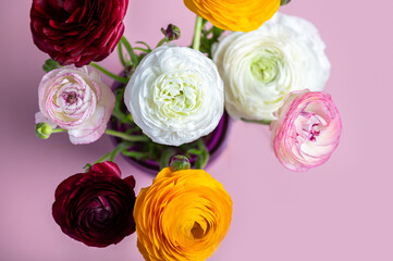 Floral arrangments of tender ranunculus flowers