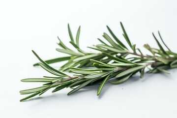 Fototapeta premium Fresh rosemary herb leaves isolated on the white background. Generative AI
