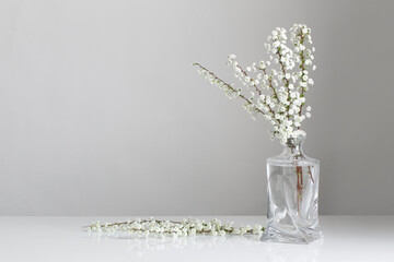 white spring flowers in glass vase on white background