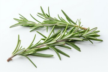 Fototapeta premium Fresh rosemary herb leaves isolated on the white background. Generative AI