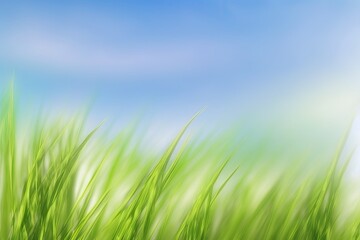 Fototapeta na wymiar With grass in the meadow and blue sky in the background, a spring or summer abstract nature background. Generative AI