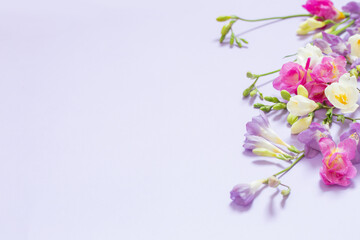 Obraz na płótnie Canvas pink, white and purple flowers on light purple background