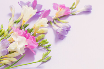 pink, white and purple flowers on white background