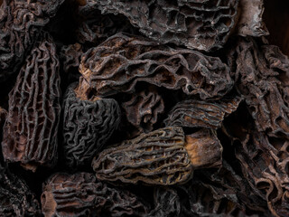 super macro shoot of dried morel mushrooms very close in detail. Ideal food background.