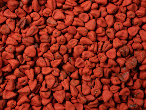 Annatto seeds, achiote seeds, bixa orellana background. Natural dye for cooking and food. Close-up food background.