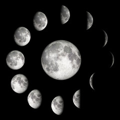 Moon Phases Infographic - 593052323