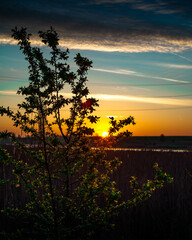 Fototapeta premium lake sunrise 