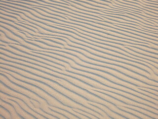 Sand Ripples from the Wind