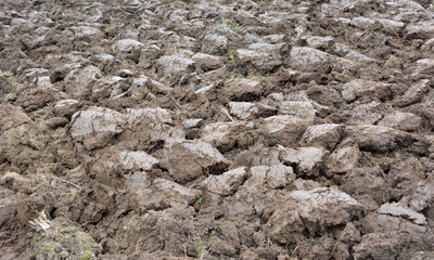 Plowing autumn field