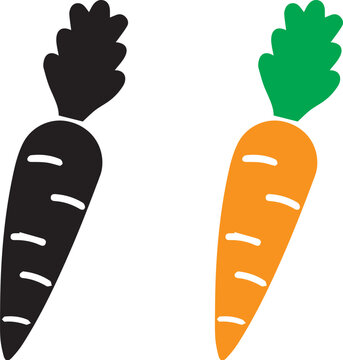 vector carrot vegetable illustration design