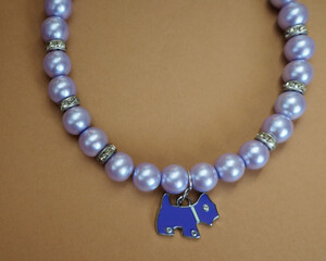 close elegant necklace for dogs made of purple beads and pendants in the shape of a purple dog with rhinestones lies on a broun background.  view from above .  dog accessories
