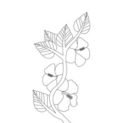 Hibiscus Flower Coloring page illustration With Line Art