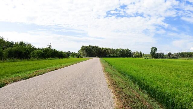 Via Francigena - secondary paved road next to Rivoltella, municipality of Rosasco, province of Pavia, Lombardy region, Italy