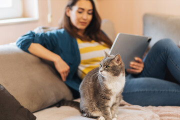 Young woman working on a tablet while her cat sits next to her.