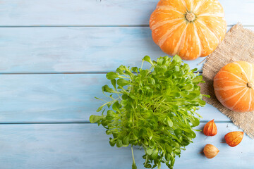 Microgreen sprouts of lettuce with pumpkin on blue wooden background. Top view, copy space.