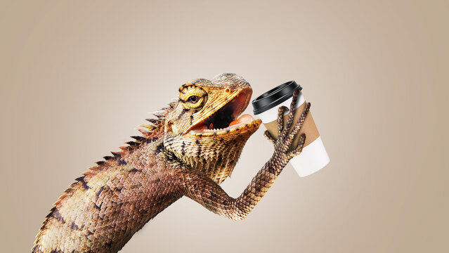 Creative funny iguana holding a paper cup of coffee on a brown background. Energy boost, creative idea. Lizard and aromatic coffee, concept