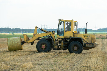 Obraz premium A yellow tractor with the help of a manipulator puts round bales of hay on a trailer. Transportation of hay bales in meta storage and drying. Preparation of feed for cattle