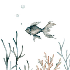 Beautiful underwater composition with watercolor sea life fish, , seaweed, coral . illustration.
