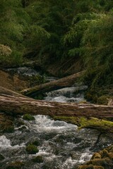Parque Nacional Conguillío, 9na región de chile