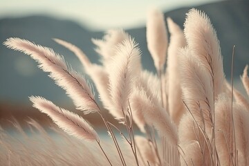 Neutral beige pastel colors on a natural background. Outside, fashionable pampas grass and dry reed. Generative AI - obrazy, fototapety, plakaty