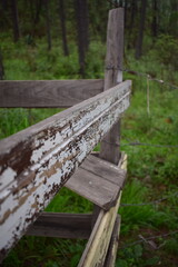 Naklejka premium Madera