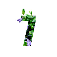 Creative number 7 seven shape cutout with fresh flowers and raindrops. Beautiful flora number for...