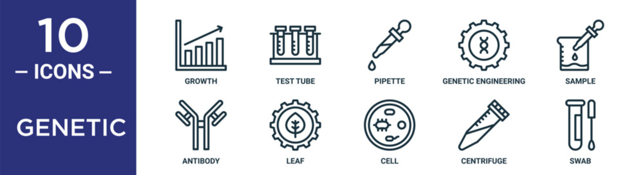 genetic outline icon set includes thin line growth, pipette, sample, leaf, centrifuge, swab, antibody icons for report, presentation, diagram, web design