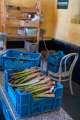 New harvest, box with green asparagus sprouts growing on bio farm field in Limburg, Belgium