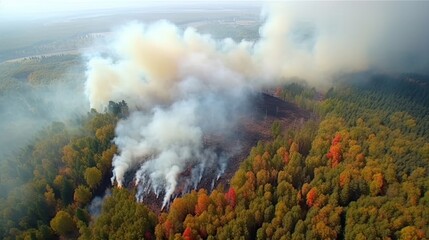 Bushfire Generative AI